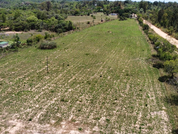 Farm & Agricultural Land