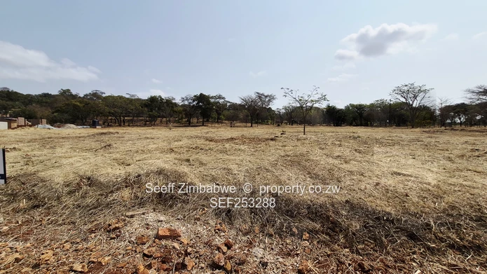 Borrowdale North 2,894 sqm residential vacant stand forsale  (Sole Mandate)
