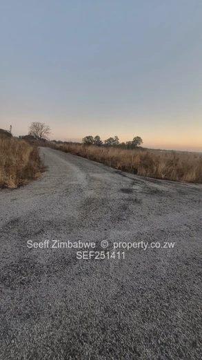 200m² Serviced Stand, Southview Park 