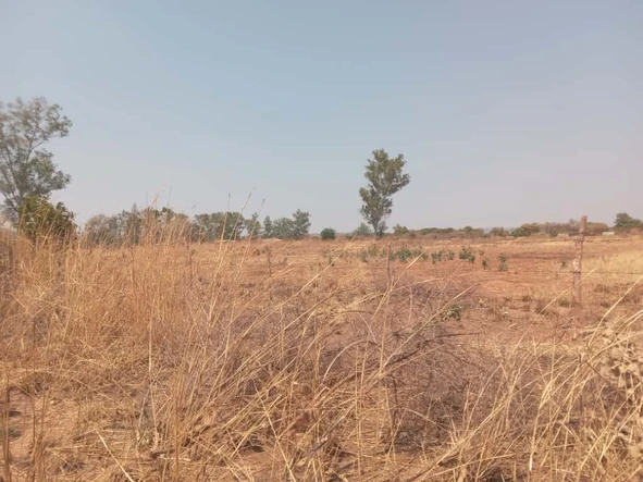 Land