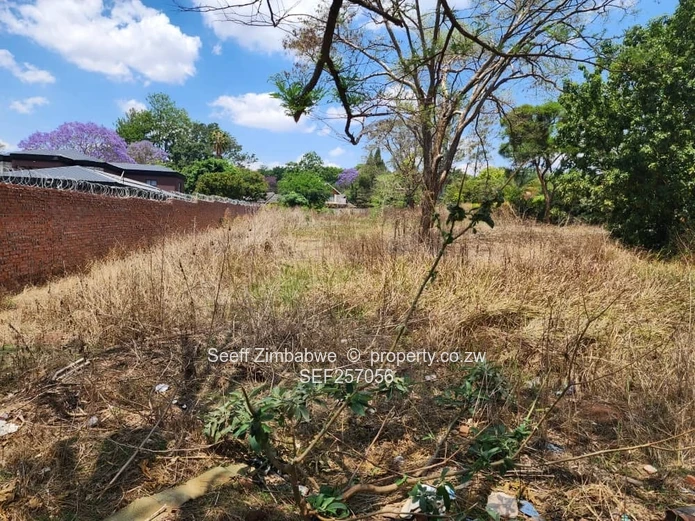 Rare Prime Find: Build Your Dream Home in Affluent Glen Lorne