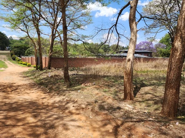 Stands & Residential Land