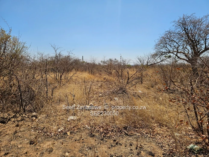 Vacant stand in Harrisvale