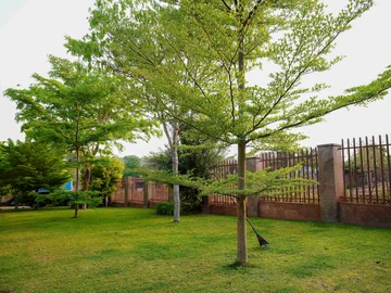 6 Bedroom House