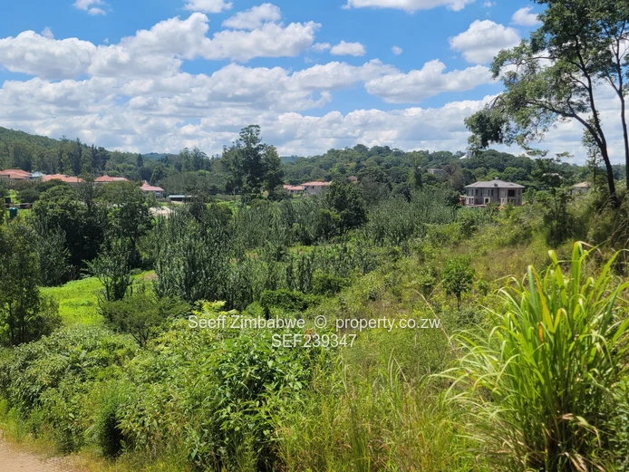 Villa stands for sale