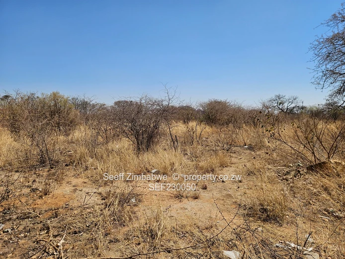 Vacant stand in Harrisvale