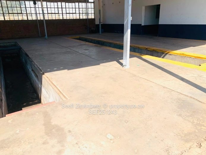 Willowvale Factory for sale : on 8.6ha