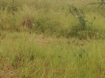 Farm & Agricultural Land