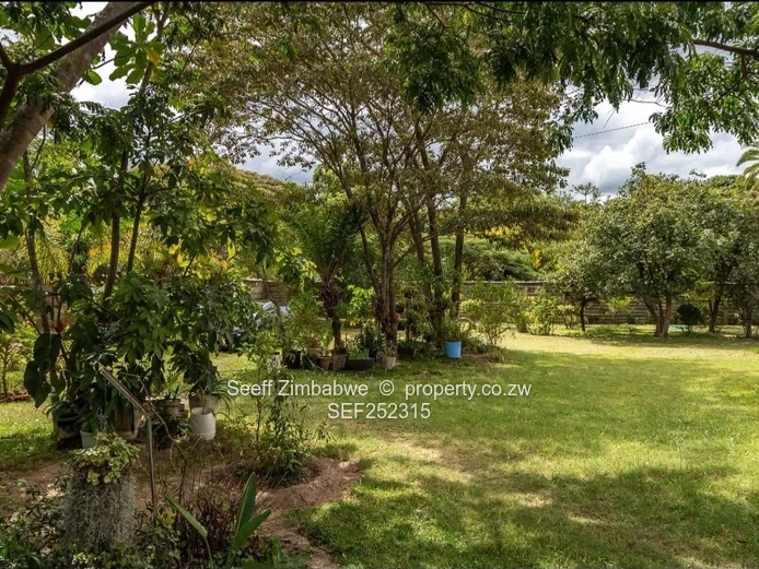 Prime 1-Acre Investment & Residential Gem in Parktown, Waterfalls!