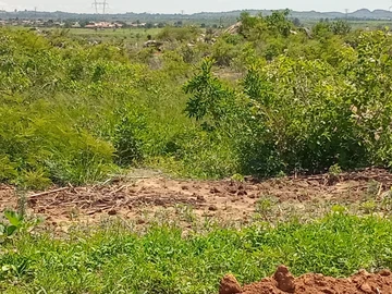 Land