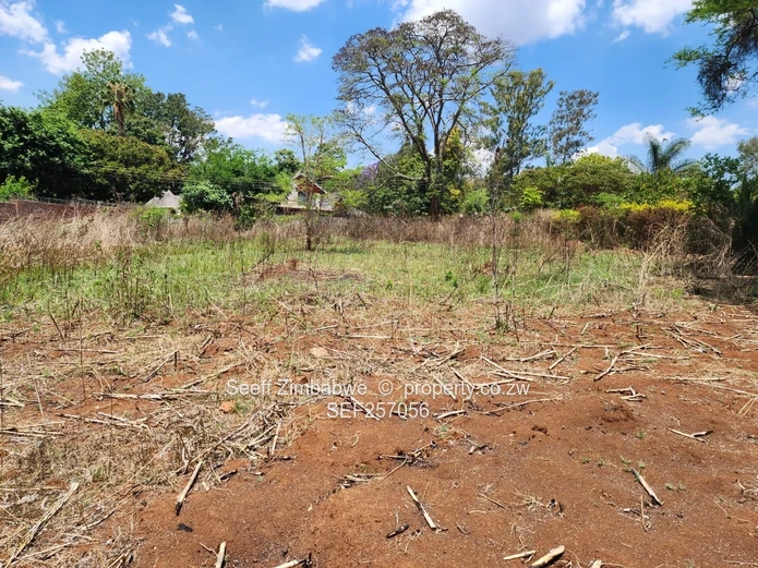 Rare Prime Find: Build Your Dream Home in Affluent Glen Lorne