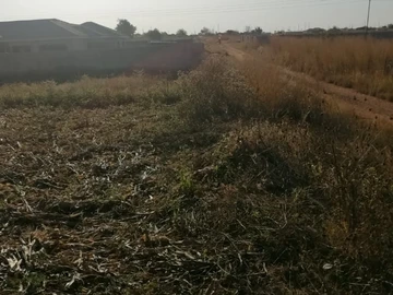 Land