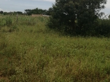 Farm & Agricultural Land