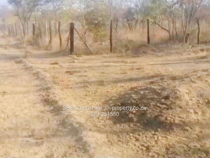 Prime Agri-Residential Plots in Kwekwe: Unleash the Potential!