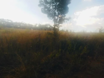 Farm & Agricultural Land