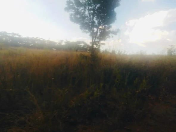 Farm & Agricultural Land
