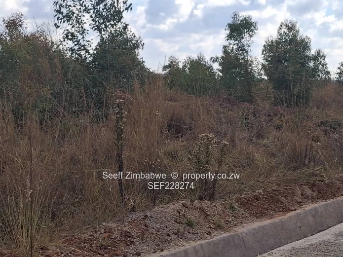 A choice of 4 residential vacant stands is available 