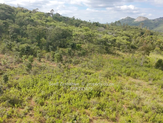 Residential Stand for Sale in Nyanga