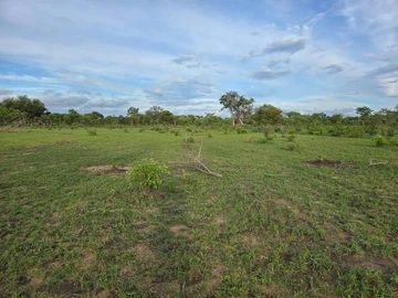 Prime Development Opportunity: Smaller Private School Stand
