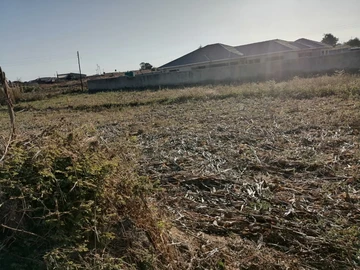 Land