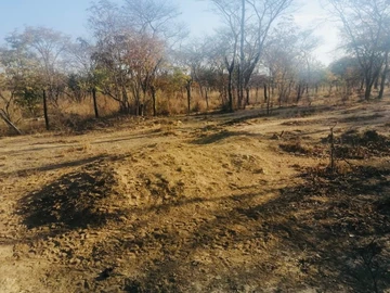 Farm & Agricultural Land