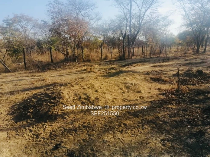 Prime Agri-Residential Plots in Kwekwe: Unleash the Potential!