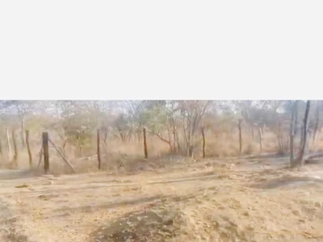 Farm & Agricultural Land