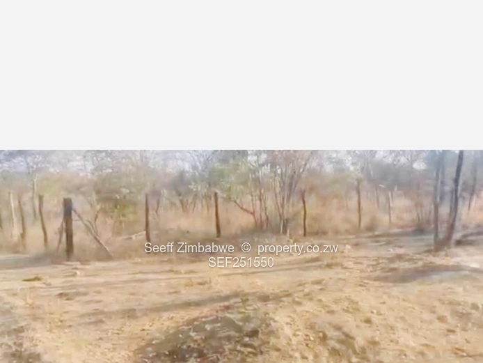 Prime Agri-Residential Plots in Kwekwe: Unleash the Potential!