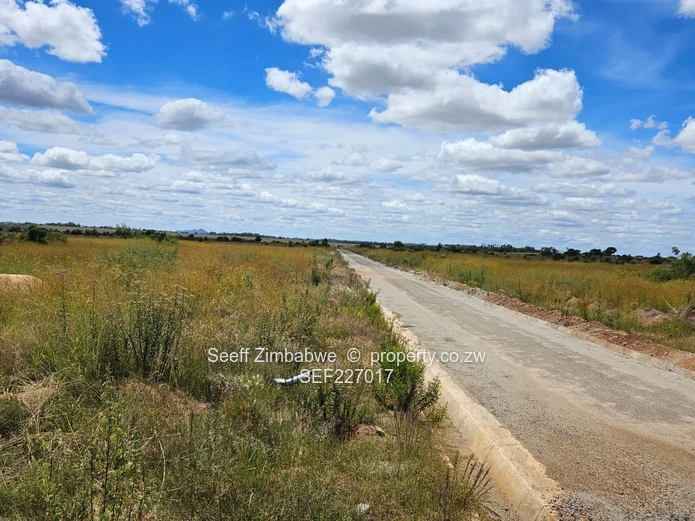 Stands for Sale in Paarl Estate, Nyabira