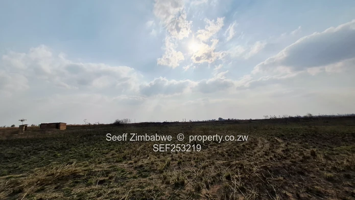 1200m² Nyabira Stand  (Sole Mandate)