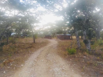 Farm & Agricultural Land