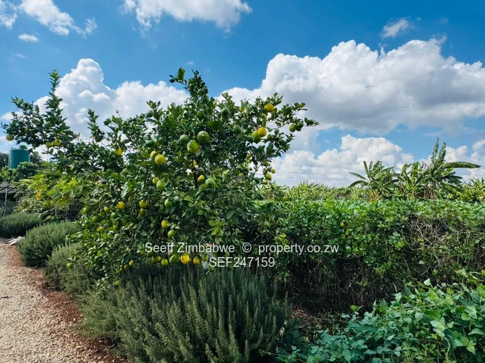 Prime Multi-Purpose Plot | Knowe, Norton (Sole Mandate)