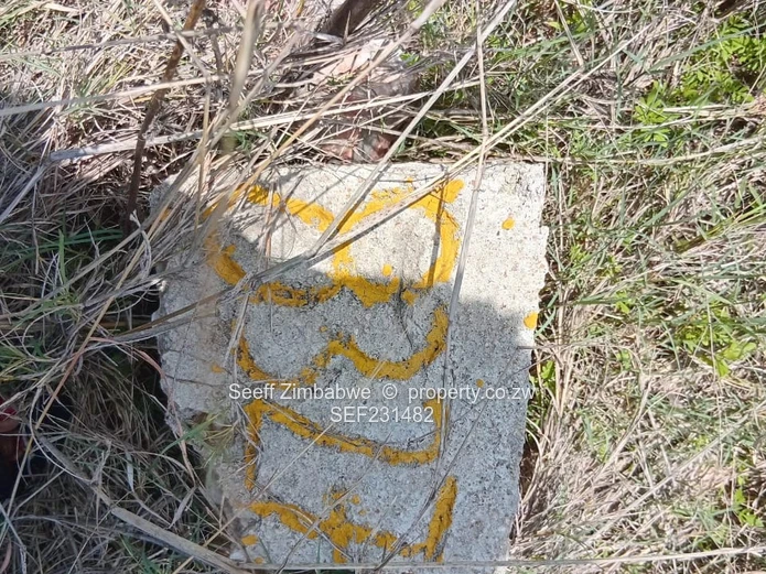 Residential vacant stands Tawona Gardens Ruwa Stand - Up for grabs (Sole Mandate)