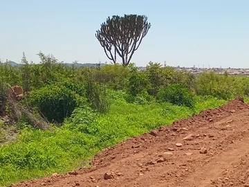 Land