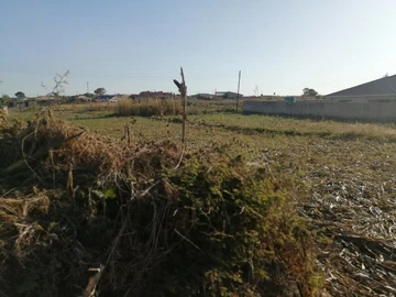 Land