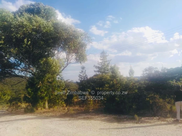Experience The Nyanga Lifestyle, In Nature's Luxury (Sole Mandate)