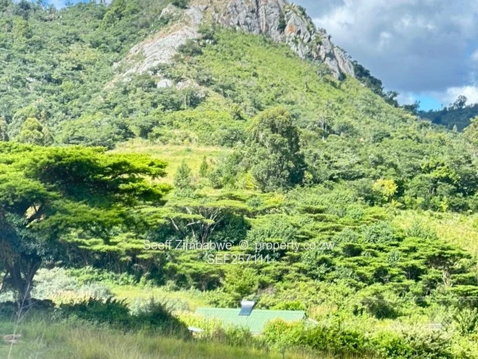 Nyanga 5,547 m² — Rolling Valley Plot with Mountain Views