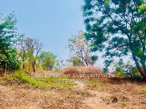 Prime Residential Stand for Sale – 6687m² in Helensvale, Harare North (Sole Mandate)
