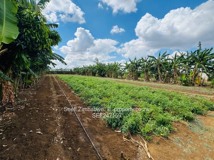 Prime Multi-Purpose Plot | Knowe, Norton (Sole Mandate)
