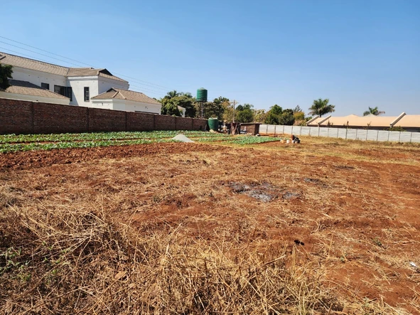 Stands & Residential Land