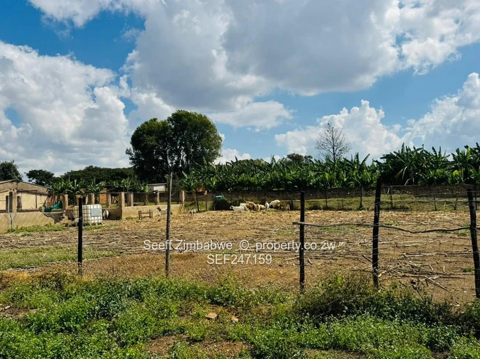 Prime Multi-Purpose Plot | Knowe, Norton (Sole Mandate)