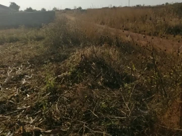 Land