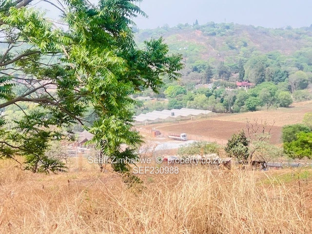 Prime Residential Stand for Sale – 6687m² in Helensvale, Harare North (Sole Mandate)