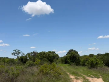 Farm & Agricultural Land