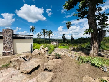 Farm & Agricultural Land
