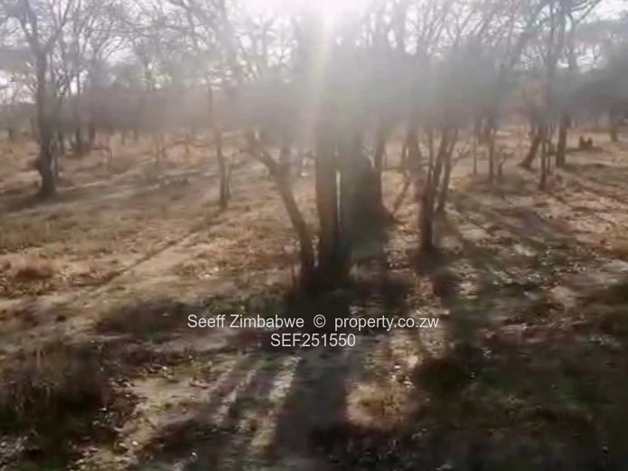Prime Agri-Residential Plots in Kwekwe: Unleash the Potential!