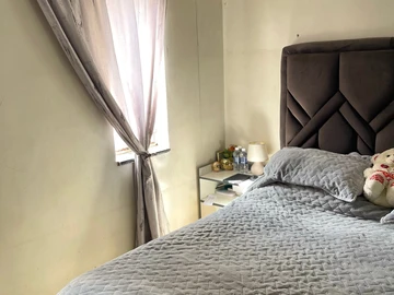 Flat & Apartment
