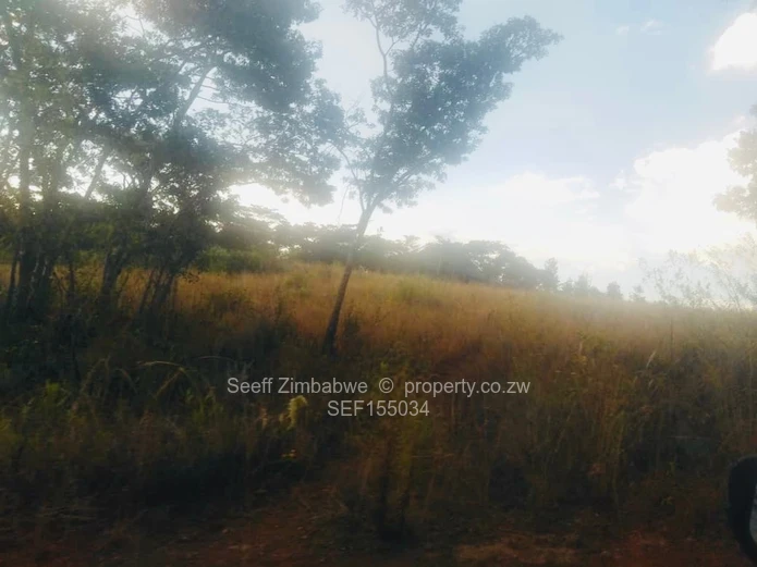 Experience The Nyanga Lifestyle, In Nature's Luxury (Sole Mandate)