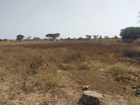 Thriving 2.23 Hectare Farm with Borehole in Norton, Zimbabwe