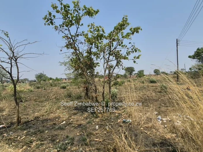 4800 m² Stand in Galloway — Norton with a deed
